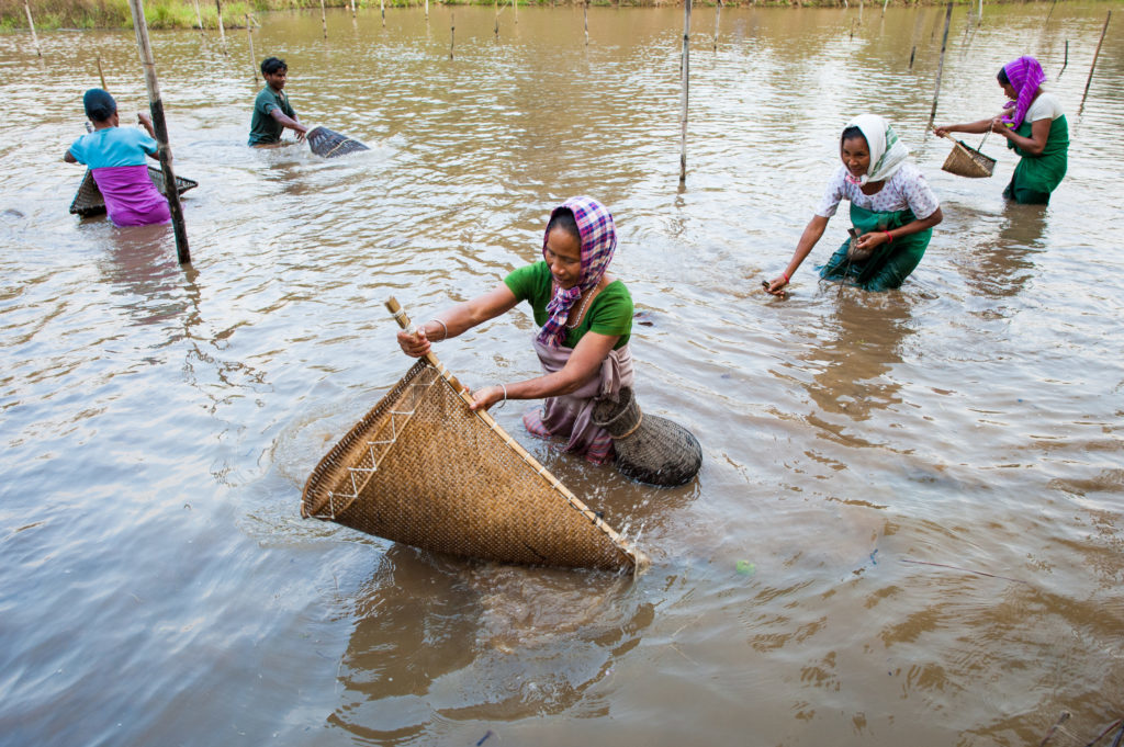 Empower women and help end hunger: The Global Food Security Reauthorization Act (S. 2269/H.R. 5129)