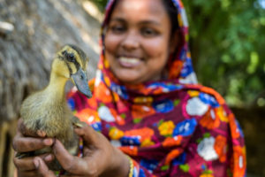 Bangladesh woman with duck