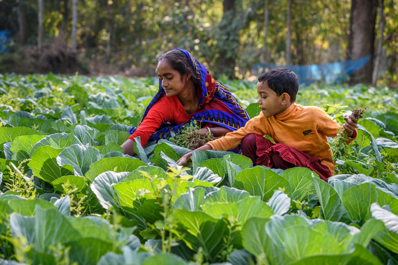 Better farm, better life for women in Bangladesh